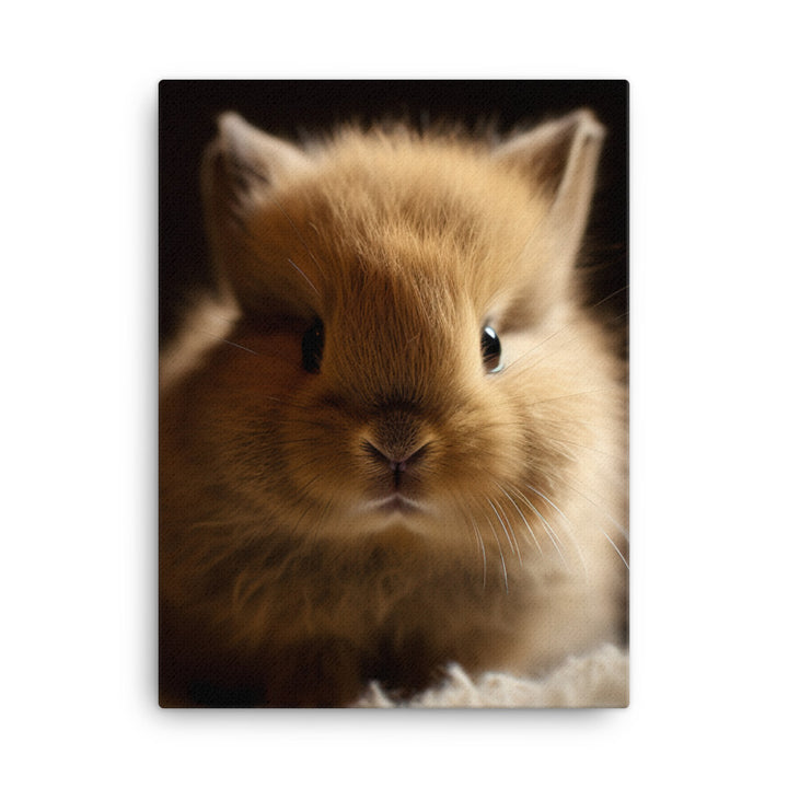 Adorable Jersey Wooly Bunny Canvas - PosterfyAI.com