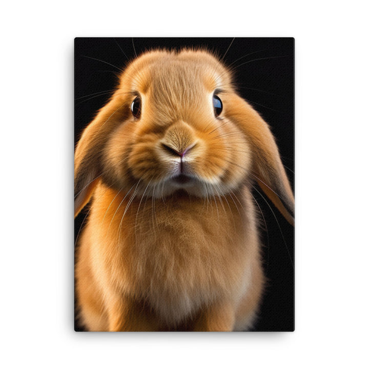 Holland Lop Bunny Canvas - PosterfyAI.com
