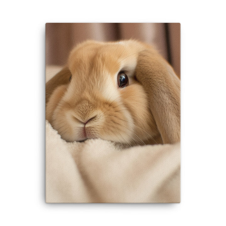 Holland Lop Bunny in a Cozy Setting Canvas - PosterfyAI.com