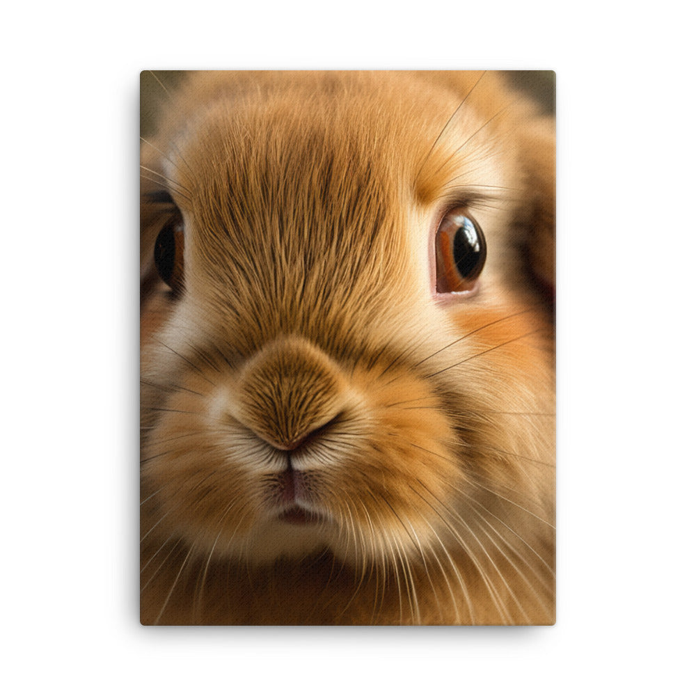 Charming Holland Lop Bunny Canvas - PosterfyAI.com