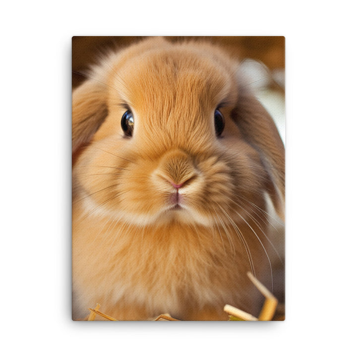 Adorable Holland Lop Bunny Canvas - PosterfyAI.com