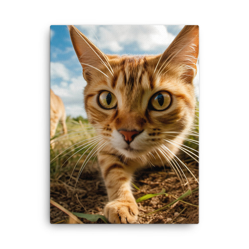 Playful Nature of Somali Cat Canvas - PosterfyAI.com