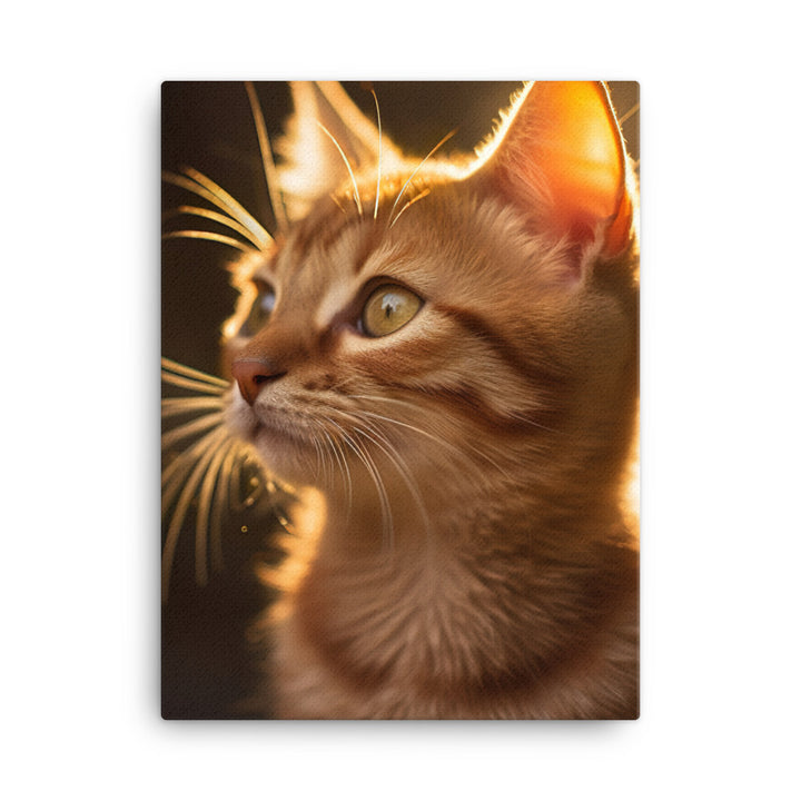Details of Somali Kitten Canvas - PosterfyAI.com