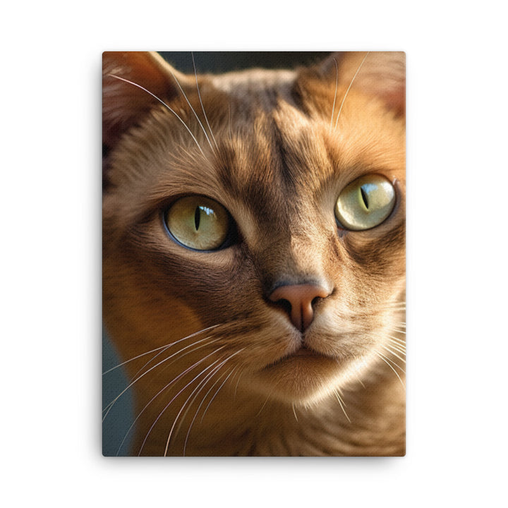 Elegance of Burmese Cat Canvas - PosterfyAI.com