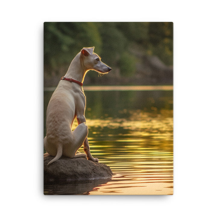 Whippet Canvas - PosterfyAI.com