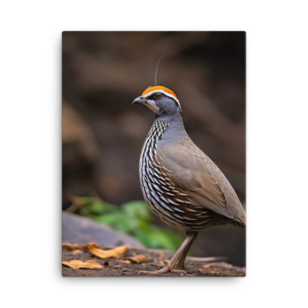 Quail Canvas - PosterfyAI.com