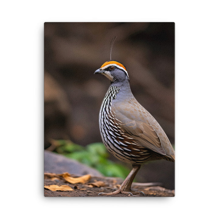 Quail Canvas - PosterfyAI.com