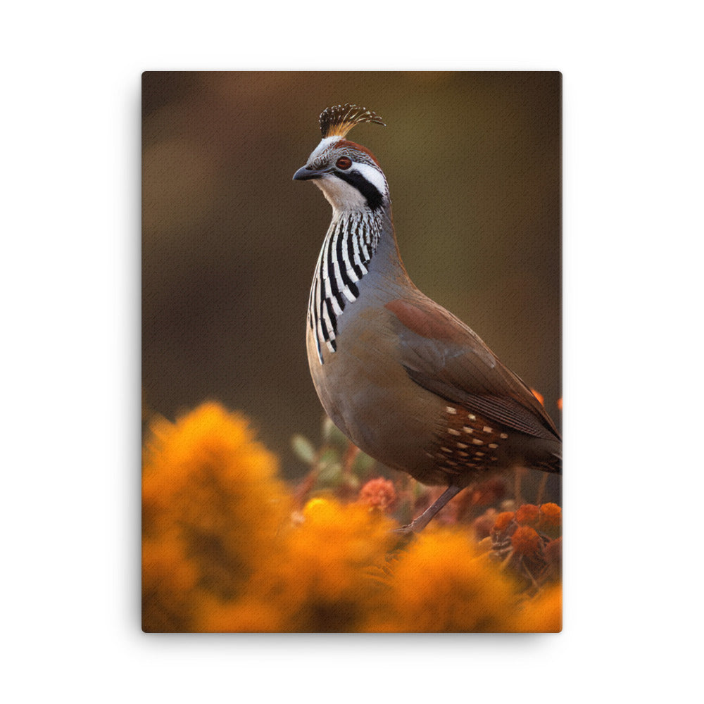 Quail Canvas - PosterfyAI.com