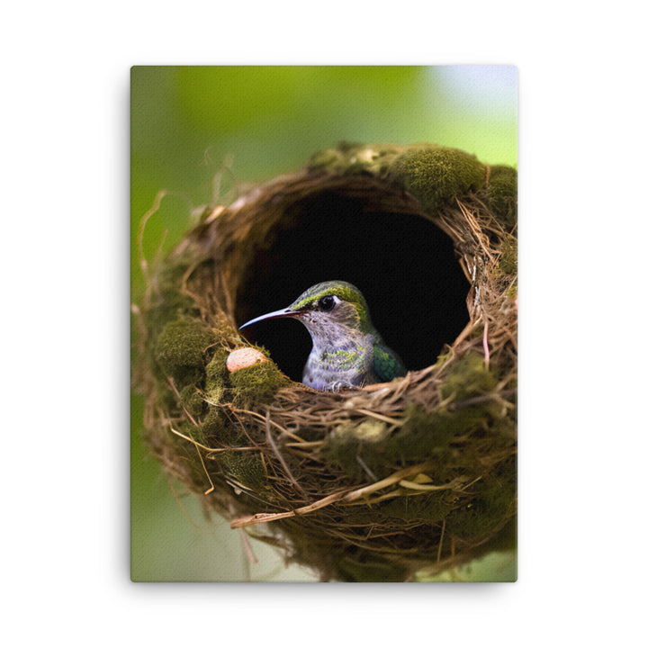 Hummingbird Canvas - PosterfyAI.com