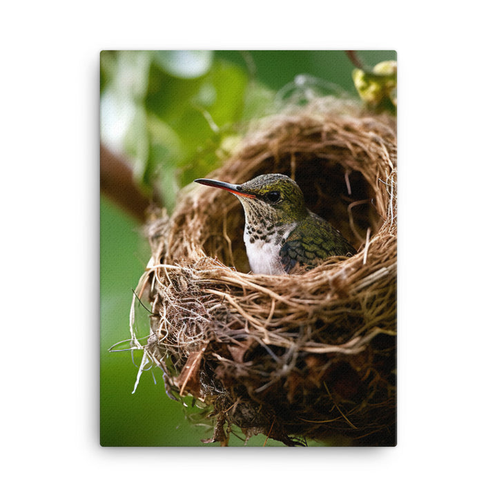 Hummingbird Canvas - PosterfyAI.com