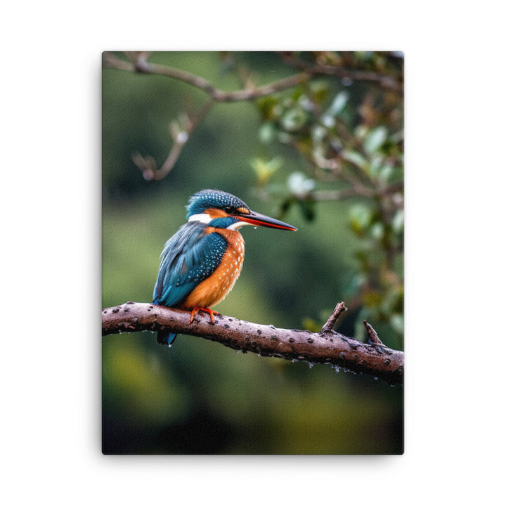 Kingfisher Canvas - PosterfyAI.com