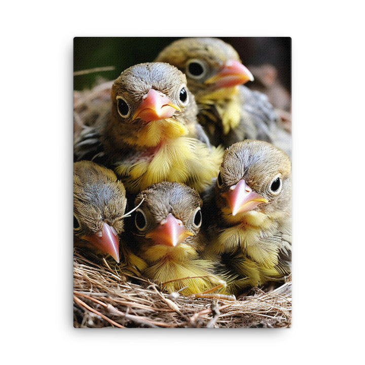 Finch Canvas - PosterfyAI.com