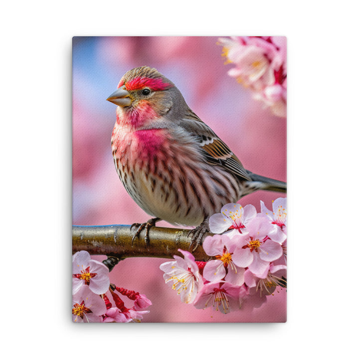 Finch Canvas - PosterfyAI.com