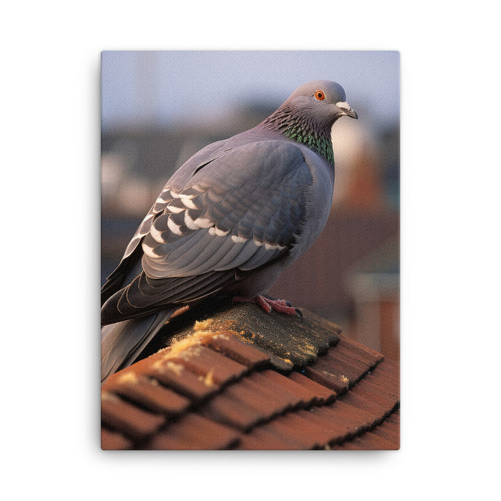 Pigeon Canvas - PosterfyAI.com