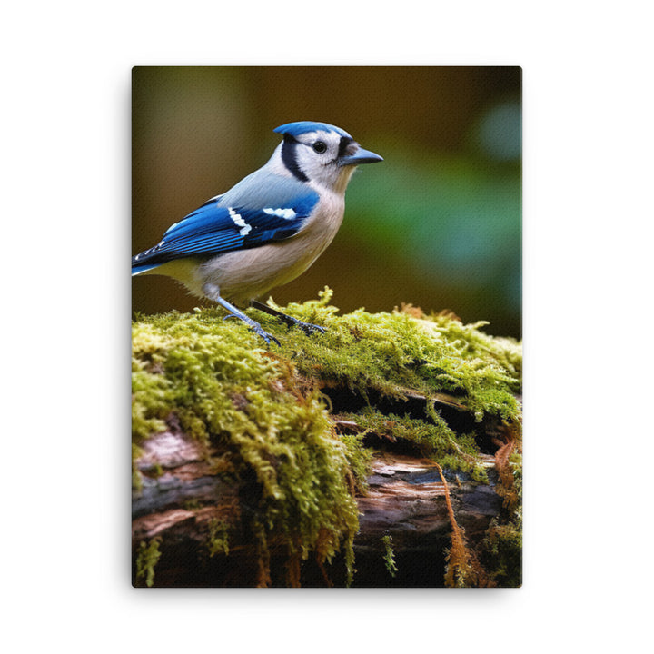 Jay Canvas - PosterfyAI.com