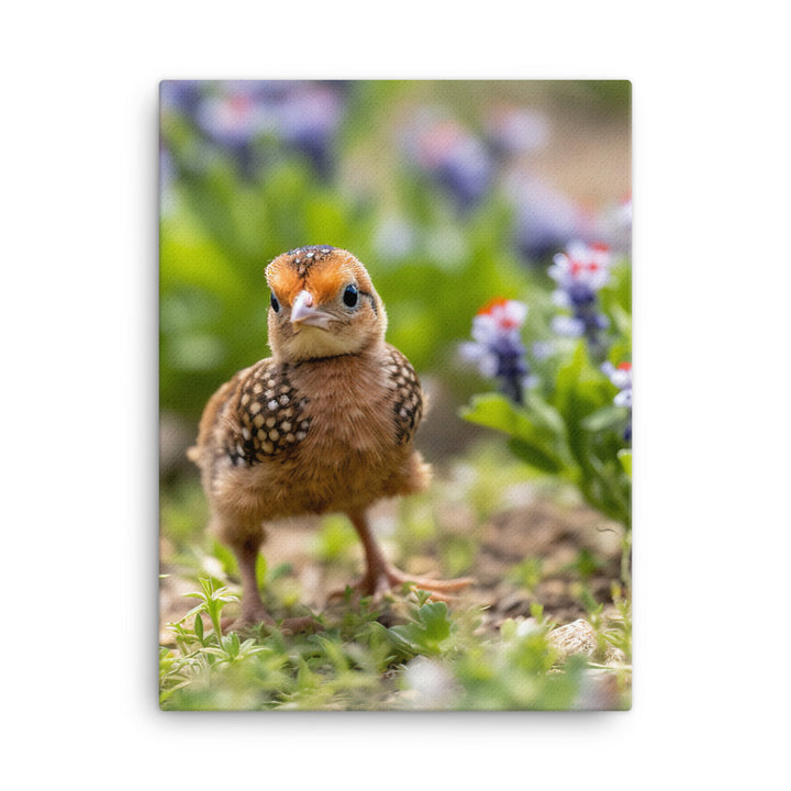 Chick Canvas - PosterfyAI.com