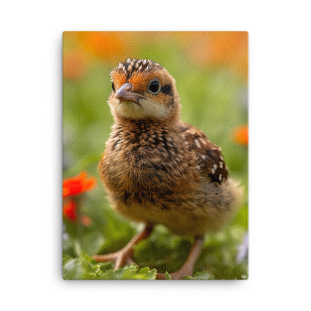 Chick Canvas - PosterfyAI.com