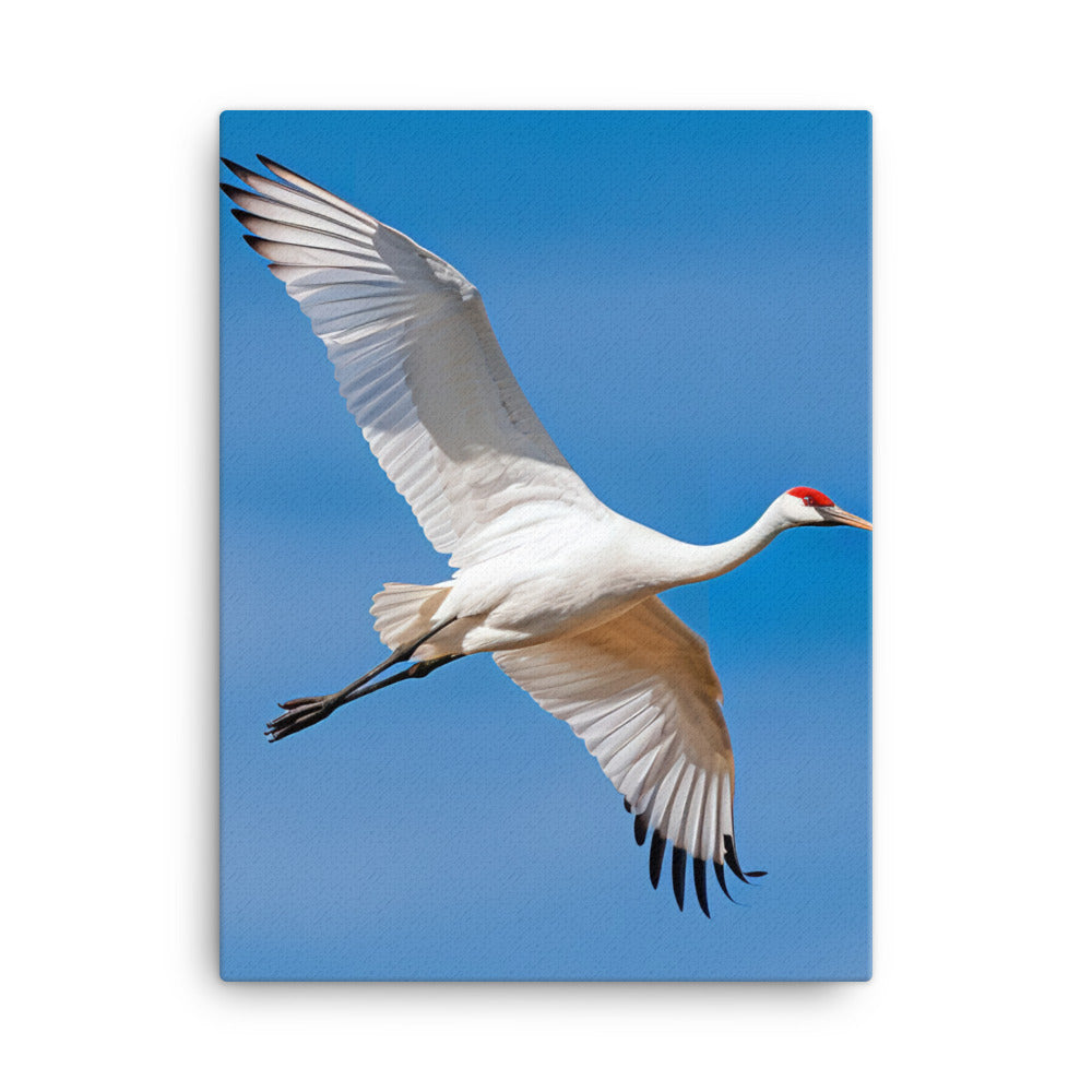 Crane Canvas - PosterfyAI.com