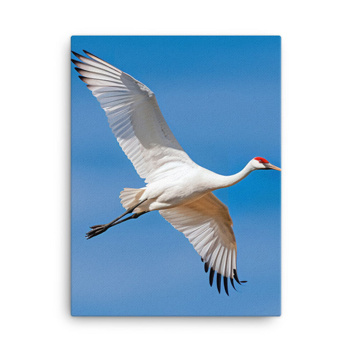 Crane Canvas - PosterfyAI.com