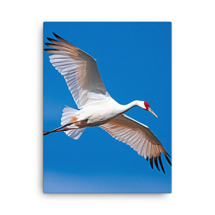 Crane Canvas - PosterfyAI.com