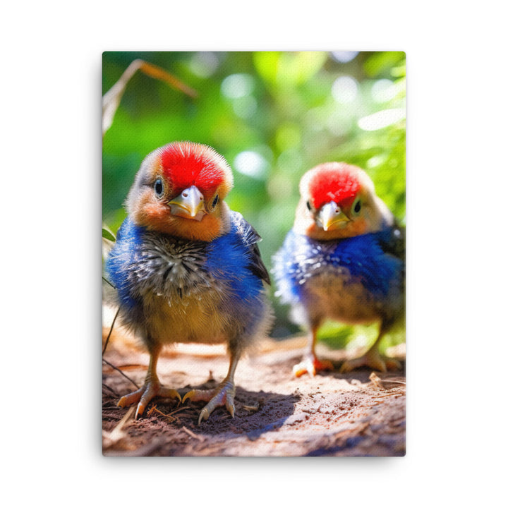 Rosella Canvas - PosterfyAI.com