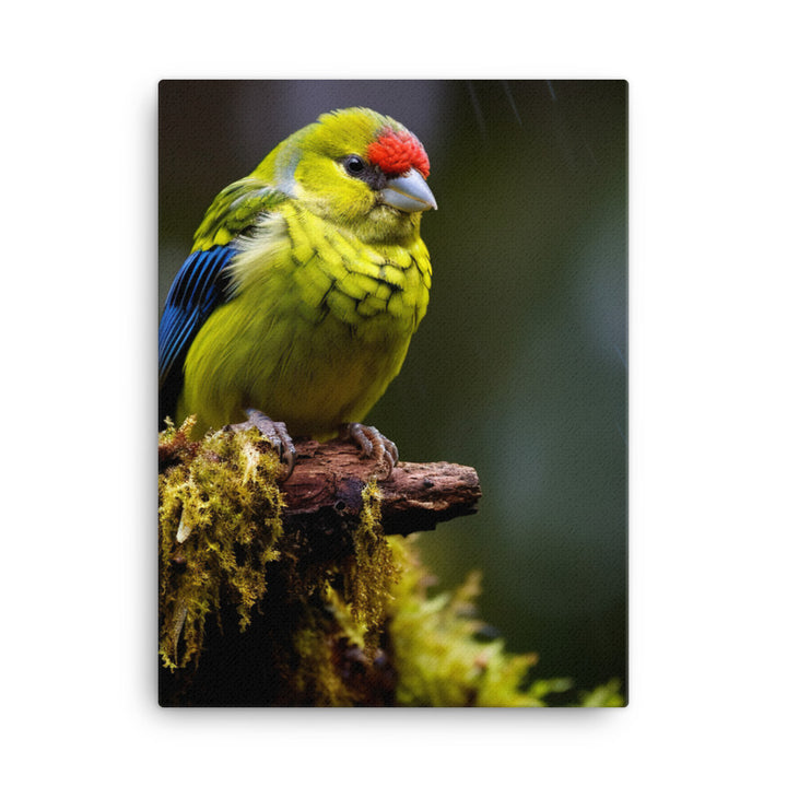 Rosella Canvas - PosterfyAI.com