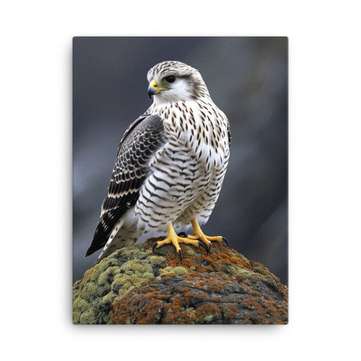 Gyrfalcon Canvas - PosterfyAI.com