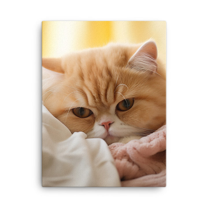 Exotic Shorthair Canvas - PosterfyAI.com