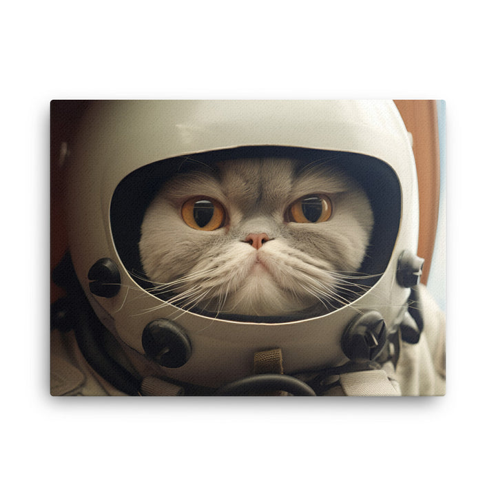 Exotic Shorthair Pilot Canvas - PosterfyAI.com