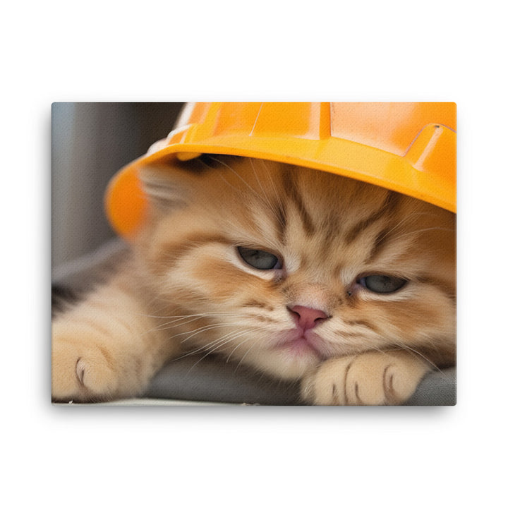 Exotic Shorthair Contractor Canvas - PosterfyAI.com