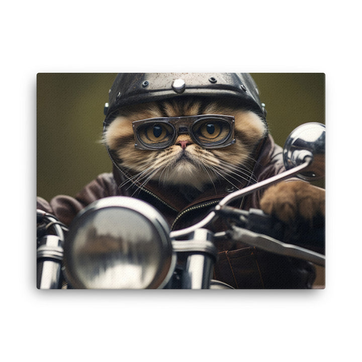 Exotic Shorthair Superbike Athlete Canvas - PosterfyAI.com