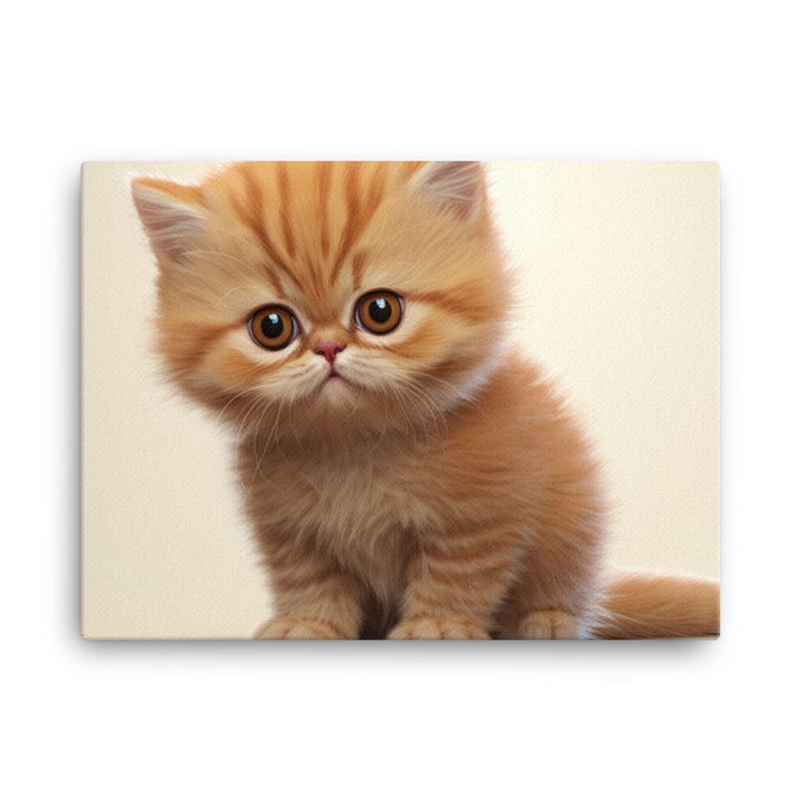 Exotic Shorthair Canvas - PosterfyAI.com