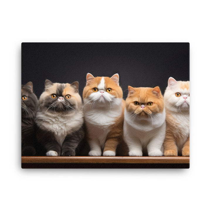 Exotic Shorthair Canvas - PosterfyAI.com