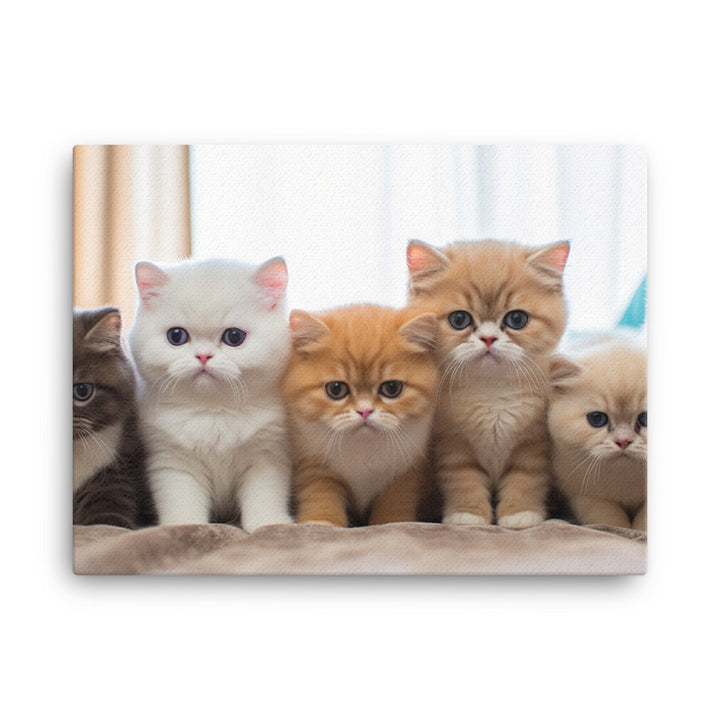 Exotic Shorthair Canvas - PosterfyAI.com