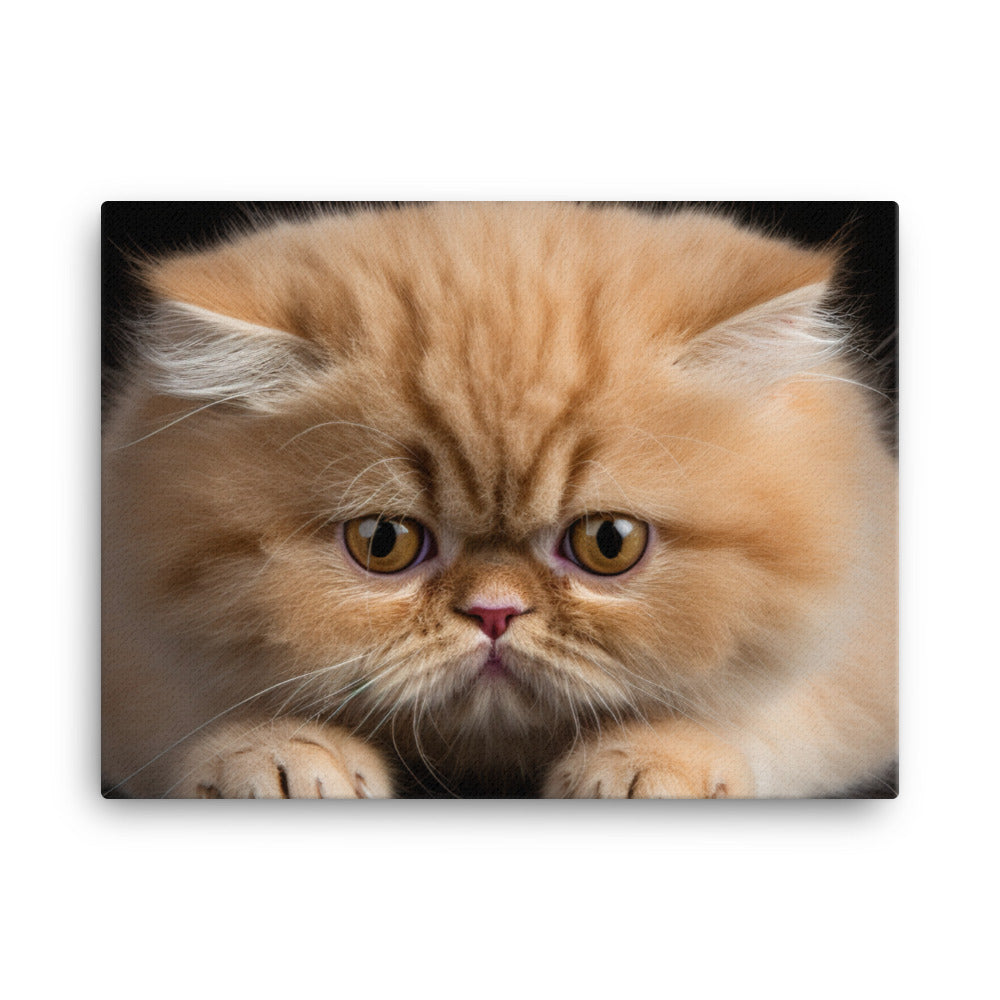 Exotic Shorthair Canvas - PosterfyAI.com