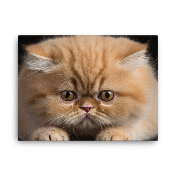 Exotic Shorthair Canvas - PosterfyAI.com