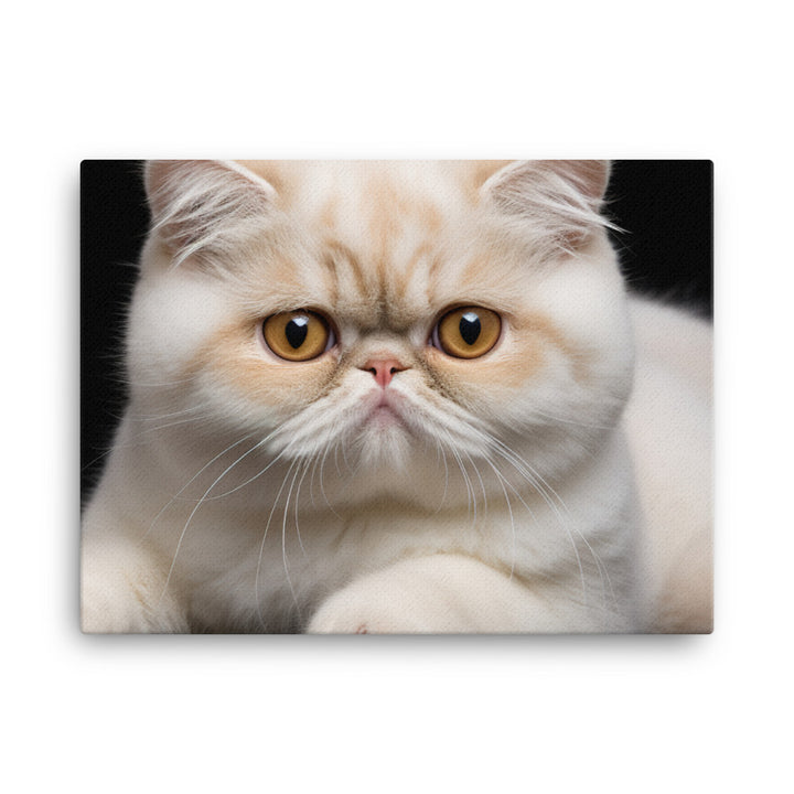 Exotic Shorthair Canvas - PosterfyAI.com