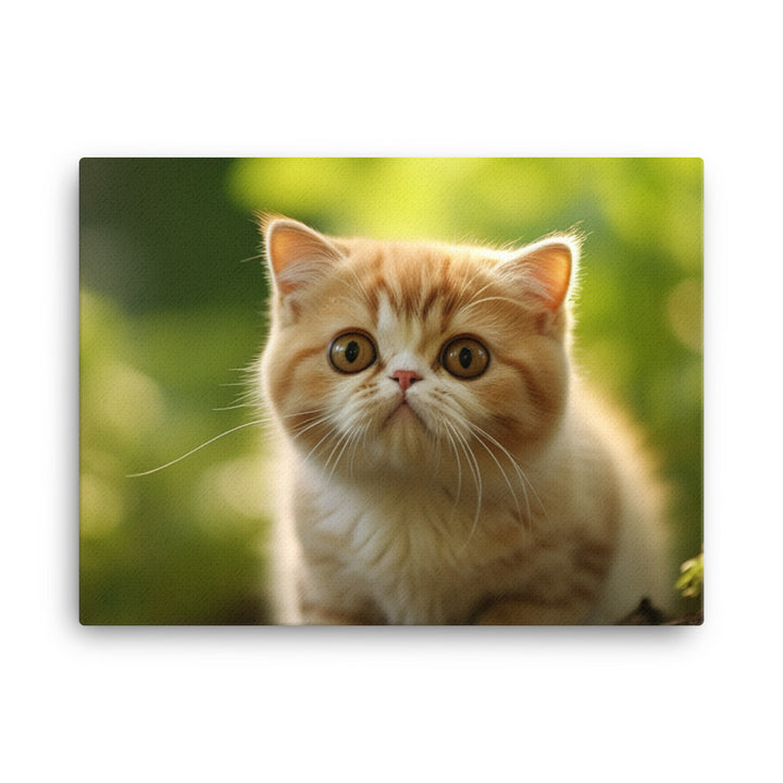 Exotic Shorthair Canvas - PosterfyAI.com