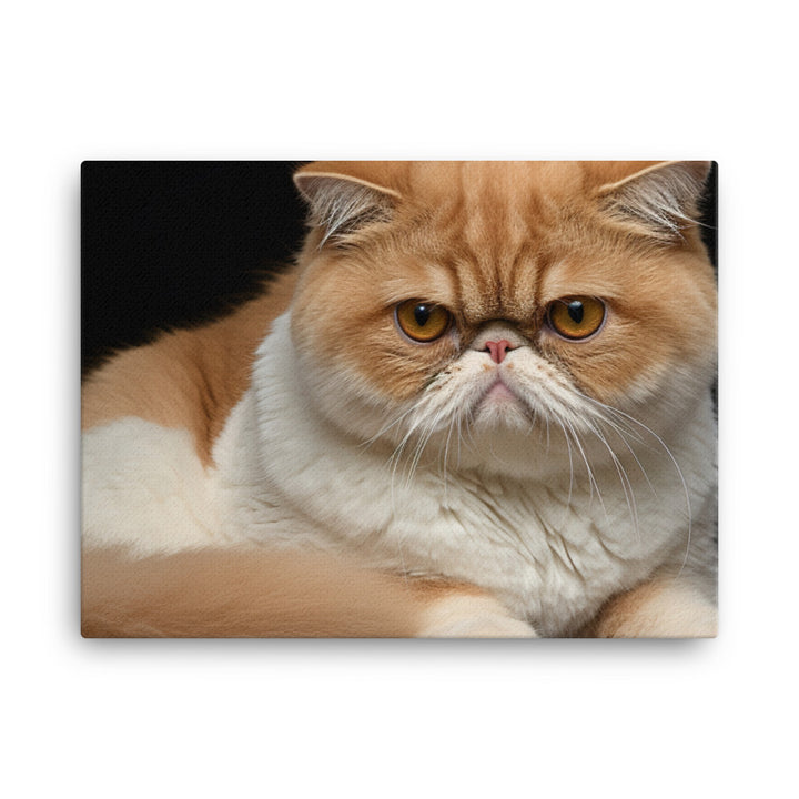 Exotic Shorthair Canvas - PosterfyAI.com