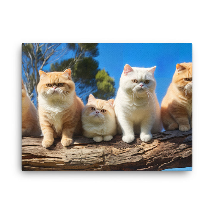 Exotic Shorthair Canvas - PosterfyAI.com