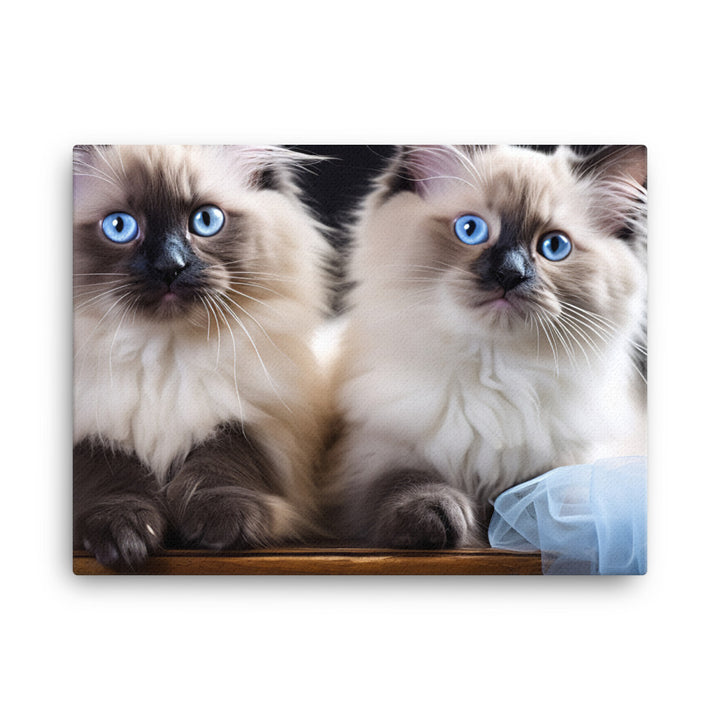 Ragdoll Canvas - PosterfyAI.com