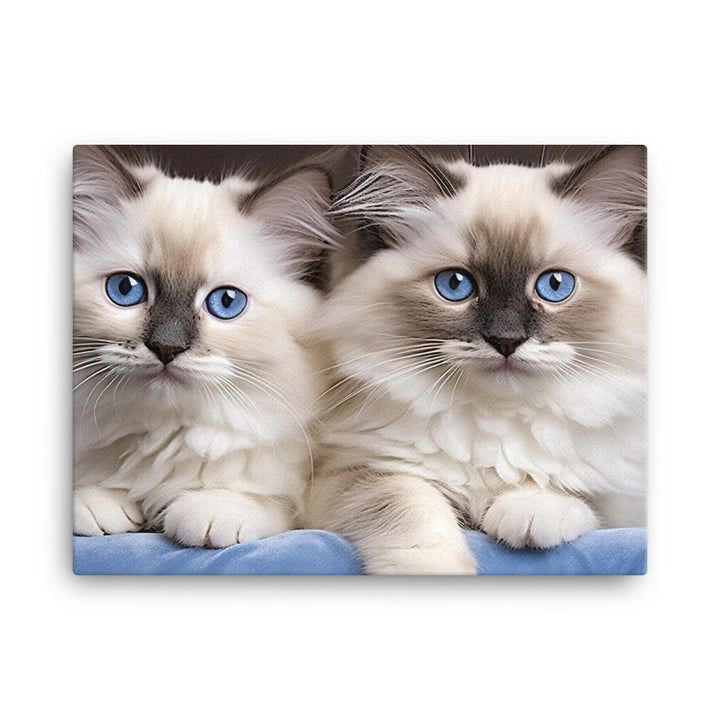 Ragdoll Canvas - PosterfyAI.com