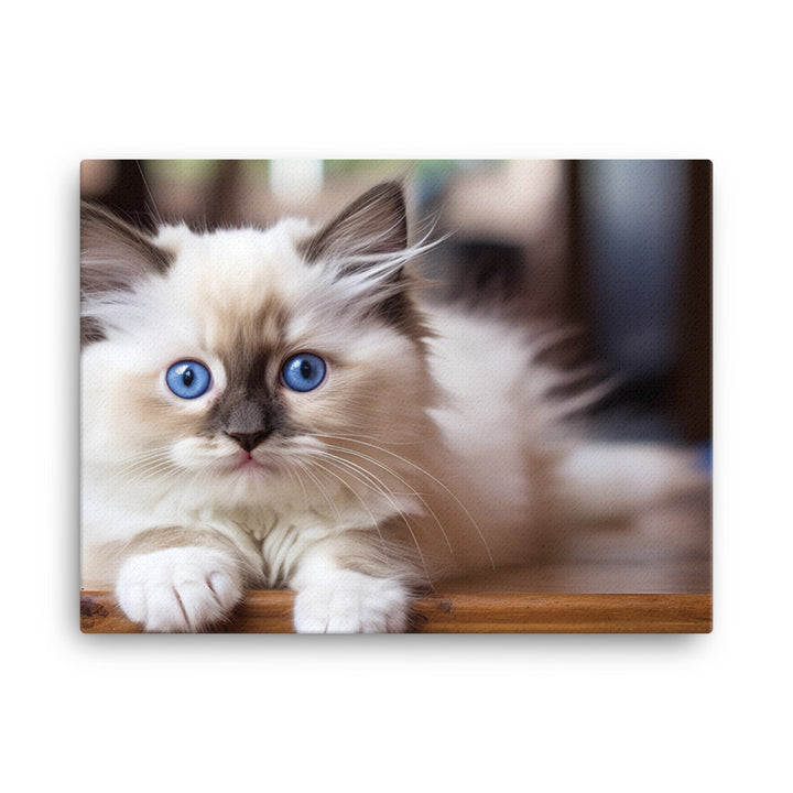 Ragdoll Canvas - PosterfyAI.com
