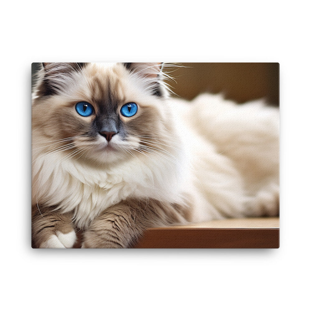 Ragdoll Canvas - PosterfyAI.com
