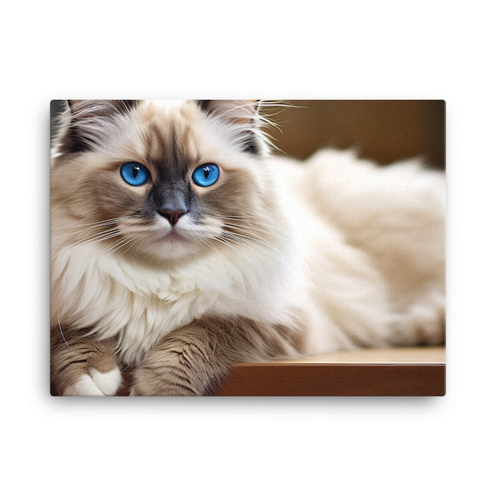 Ragdoll Canvas - PosterfyAI.com