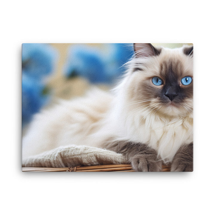 Ragdoll Canvas - PosterfyAI.com
