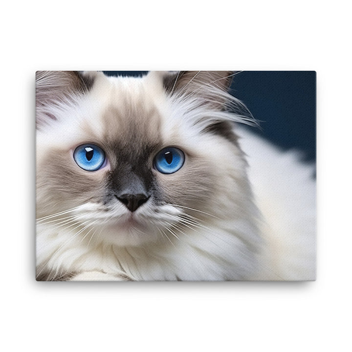 Ragdoll Canvas - PosterfyAI.com