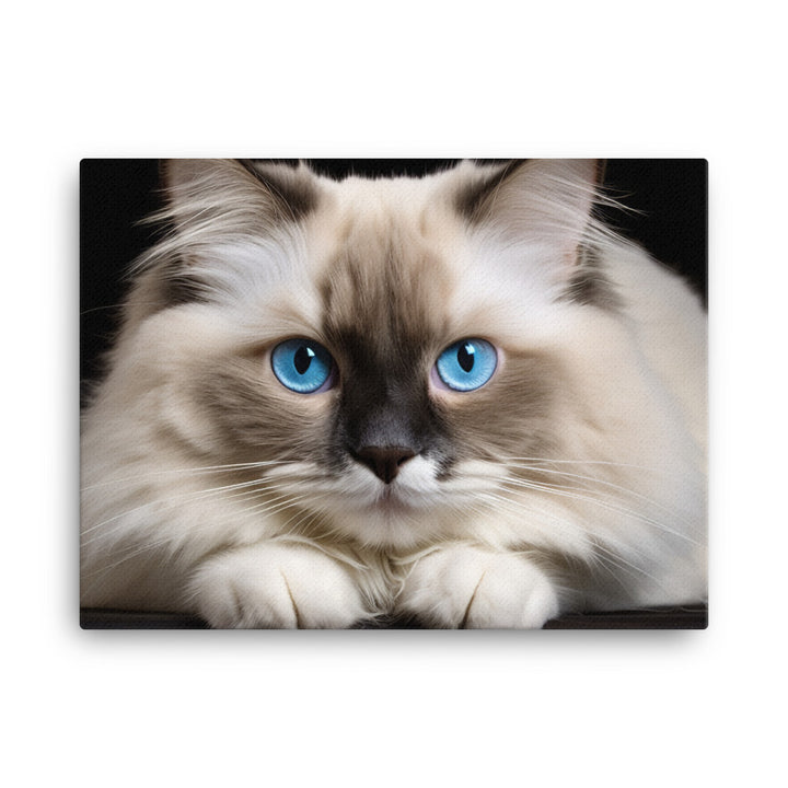 Ragdoll Canvas - PosterfyAI.com