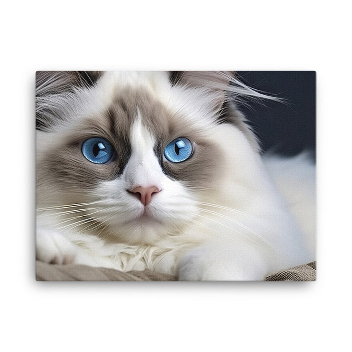 Ragdoll Canvas - PosterfyAI.com