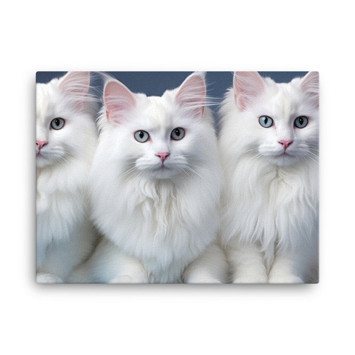 Turkish Angora Canvas - PosterfyAI.com